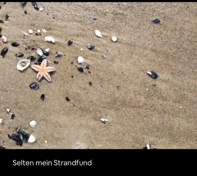 Die Kleine Acht - Direkt Am Strand Apartamento Dierhagen Exterior foto