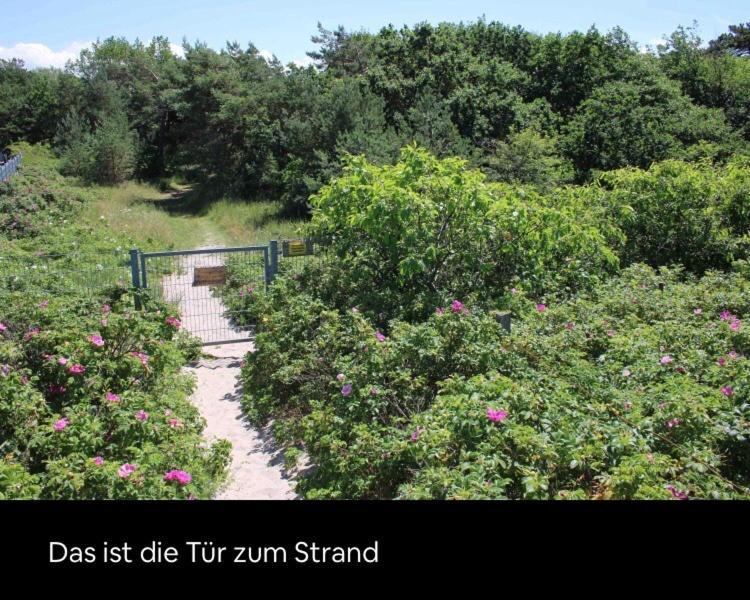 Die Kleine Acht - Direkt Am Strand Apartamento Dierhagen Exterior foto