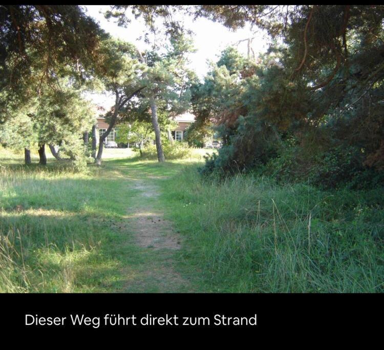 Die Kleine Acht - Direkt Am Strand Apartamento Dierhagen Exterior foto